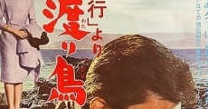 Kita kikô yori: Wataridori kita e kaeru (1962) stream