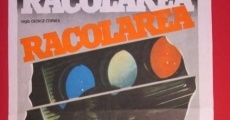 Racolarea (1985) stream