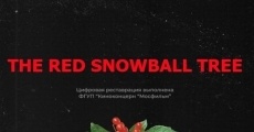 Película The Red Snowball Tree