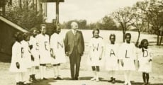 The Rosenwald Schools streaming