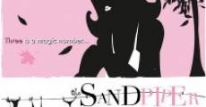 The Sandpiper (2007) stream