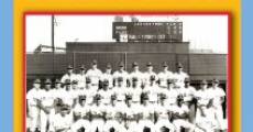 Película The Seattle Pilots: Short Flight Into History