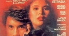 The Secrets of Sarah Jane: Sana'y mapatawad mo film complet