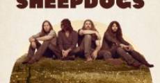 Película The Sheepdogs Have at It