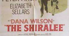 The Shiralee (1957) stream