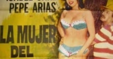 La mujer del zapatero (1965) stream