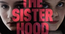 Ver película The Sisterhood of Night