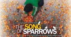 Película The Song Of Sparrows