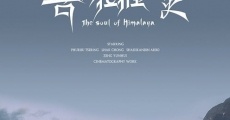 Película The Soul of Himalaya