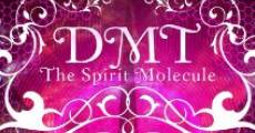 DMT: The Spirit Molecule