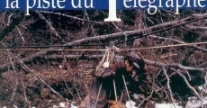 La piste du télégraphe (1994) stream