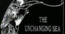 Ver película The Unchanging Sea