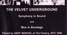 The Velvet Underground and Nico: A Symphony of Sound (1966) stream