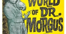 Ver película El alocado mundo del Dr. Morgus