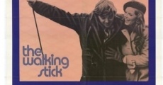 The Walking Stick (1970)