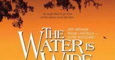 Ver película The Water Is Wide