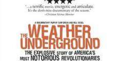 Ver película The Weather Underground