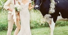 Ver película The Wedding Cow