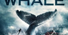 The Whale (2013)