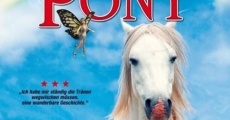 Película The White Pony