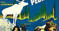 Valkoinen peura (1952) stream