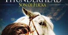 Película Thunderhead, hijo de Flicka