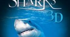 Sharks 3D streaming