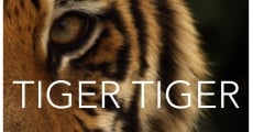 Tiger Tiger streaming