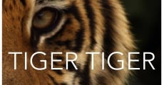 Película Tiger Tiger