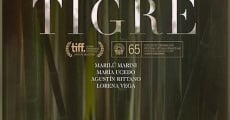 Tigre (2017) stream