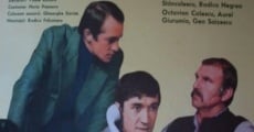 Din nou împreuna (1978) stream