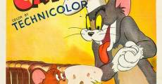 Ver película Tom y Jerry: El pequeño patito