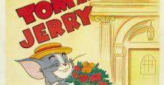 Película Tom y Jerry: Gato Casanova