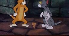 Película Tom y Jerry: Gatos embrujados