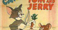 Tom & Jerry: Jerry and the Goldfish (1951)