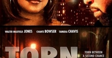 Torn (2010) stream