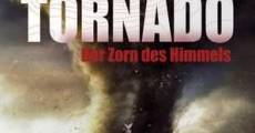 Película Tornado: La furia del cielo