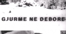 Gjurmë në dëborë (1984) stream