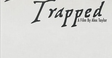 Treasure Trapped (2014) stream