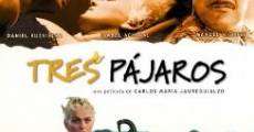 Tres pájaros (2002) stream