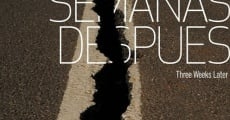 Tres semanas después (2010) stream