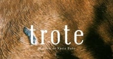 Trote (2018) stream