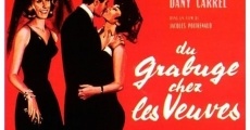 Filme completo Du grabuge chez les veuves