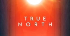 True North streaming