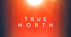 True North streaming