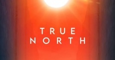 Película True North