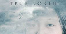 True North streaming