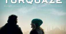 Turquaze (2010)