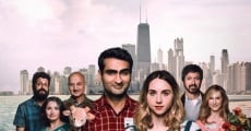 The Big Sick (2017)