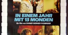 In Einem Jahr mit 13 Monden (1978) stream